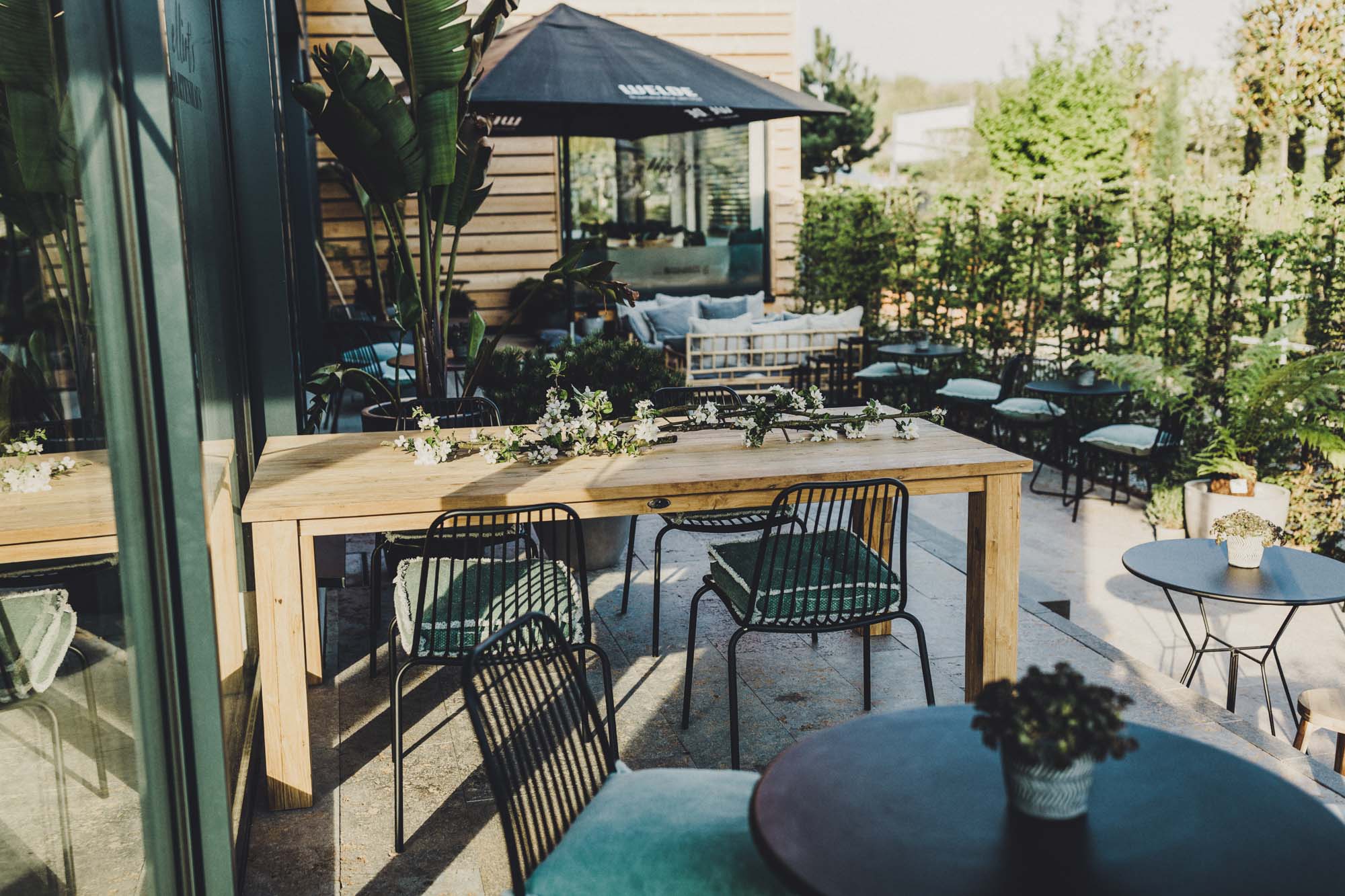 Sonnige Terrasse mit Holztisch und Blüten